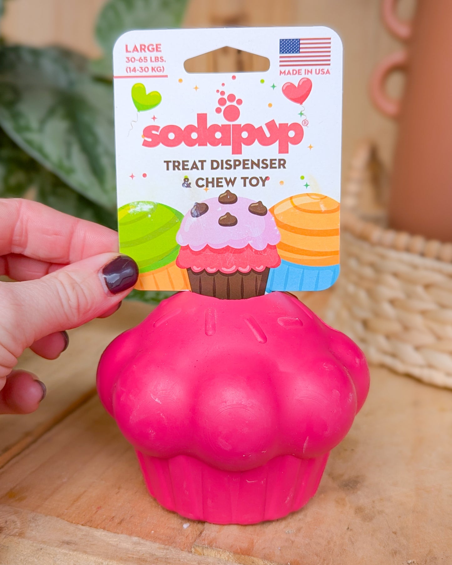 Sodapup Birthday Cake Treat Dispenser & Slow Feeder