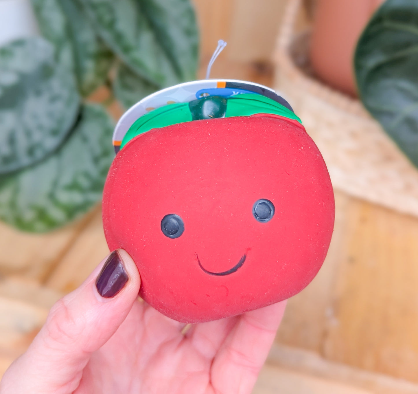 Foody Faces Latex Toy | Tomato | Small