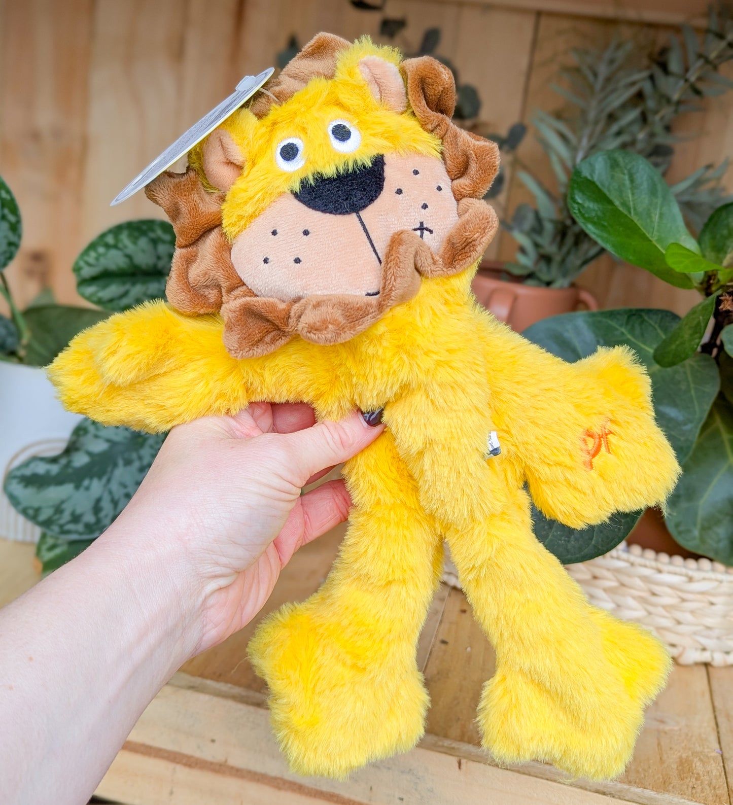 Lucas Lion Rope Body Plush Dog Toy