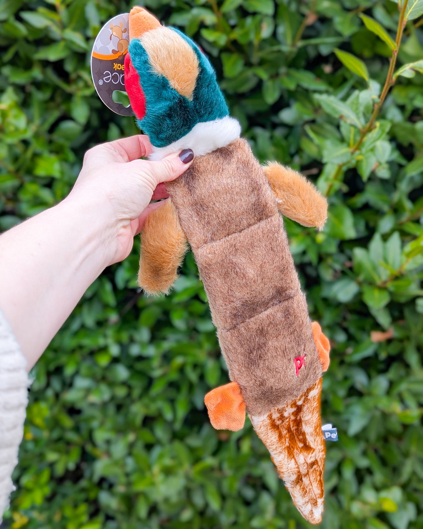 Multi-Squeak Plush Pheasant Toy