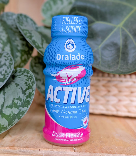 Oralade Active For Dogs | Duck