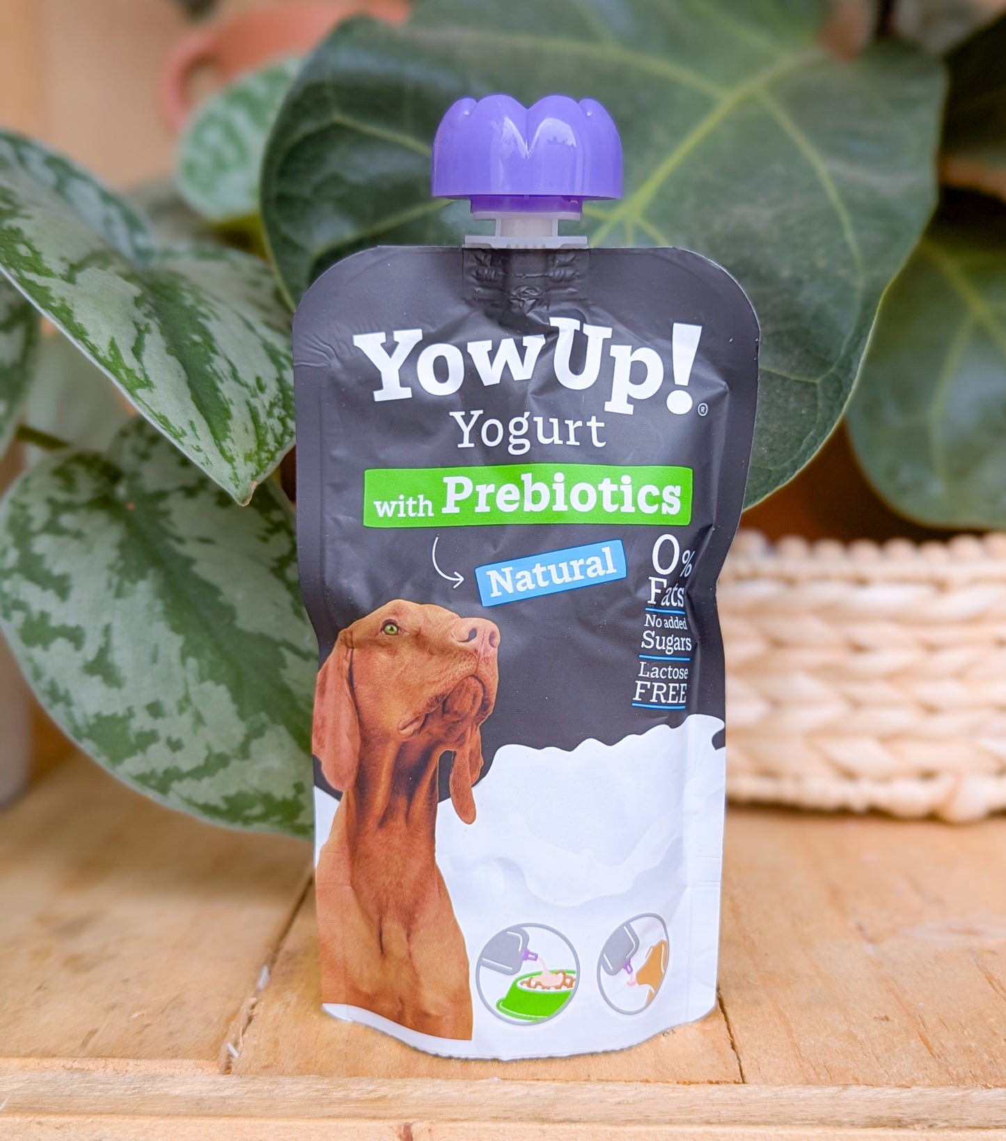 Yowup! Prebiotics Yogurt Pouch