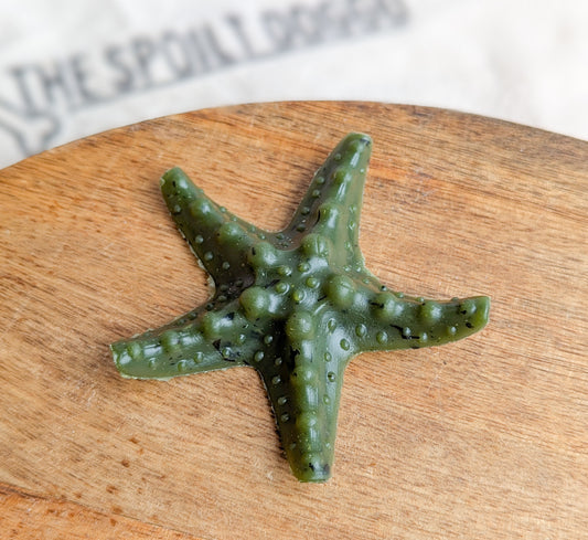 Mint & Kelp Starfish