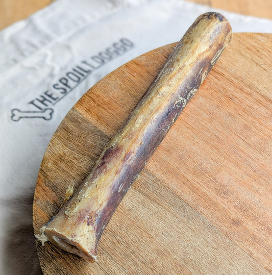 Ostrich Marrow Bone