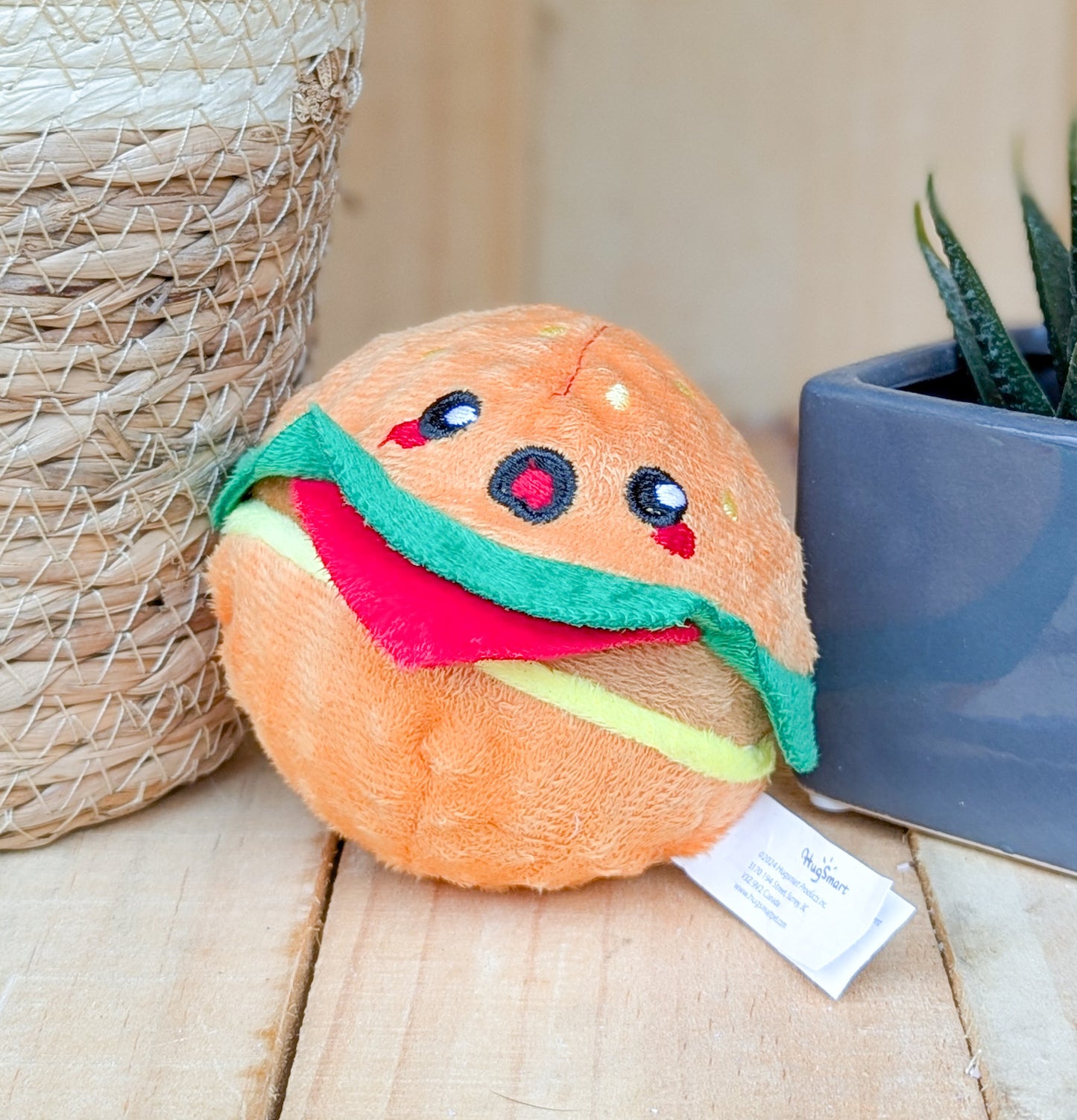 Hugsmart Ball Toy | Tasty Hamburger