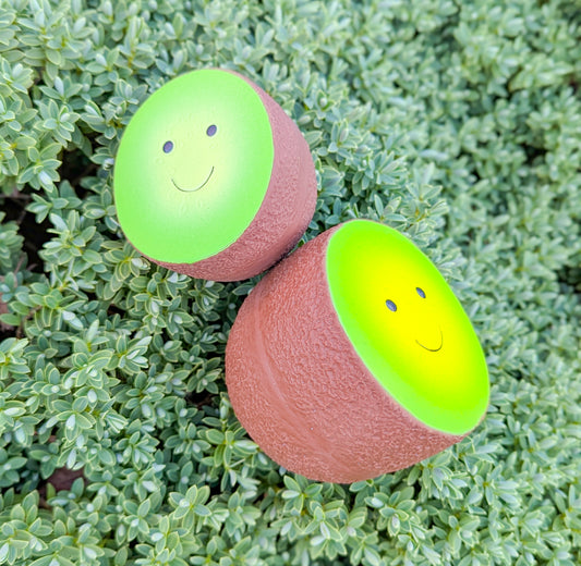 Foody Faces Latex Toy | Kiwi | 2 Sizes