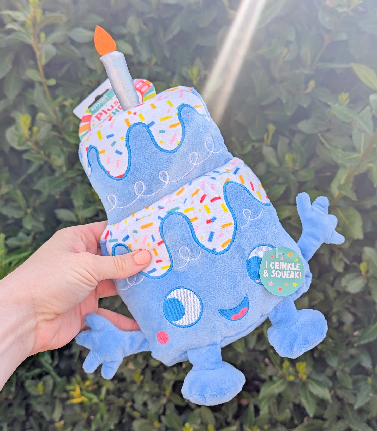 Birthday Cake Squeaky Plush Toy