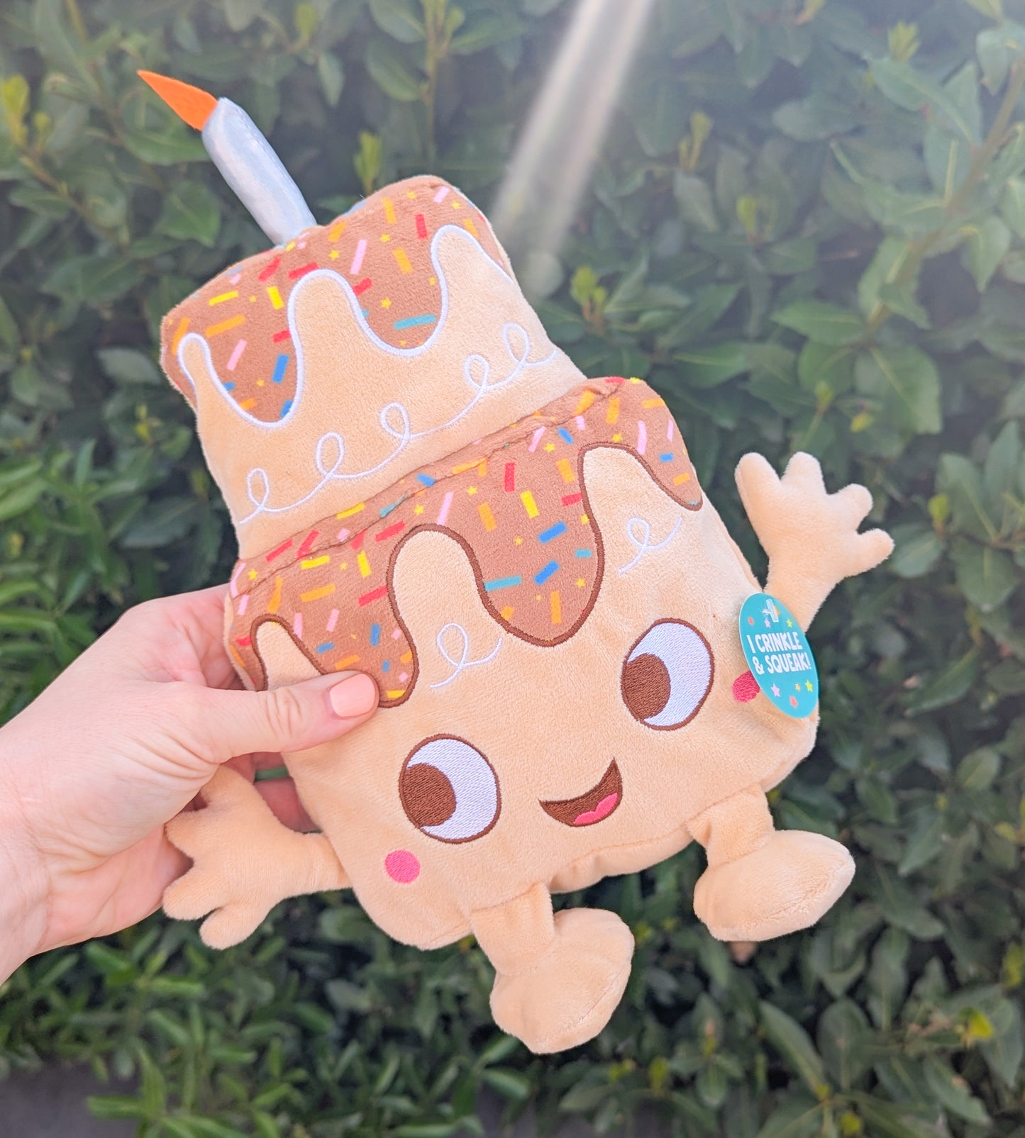 Birthday Cake Squeaky Plush Toy