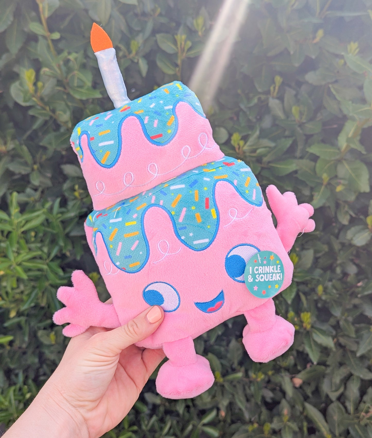 Birthday Cake Squeaky Plush Toy