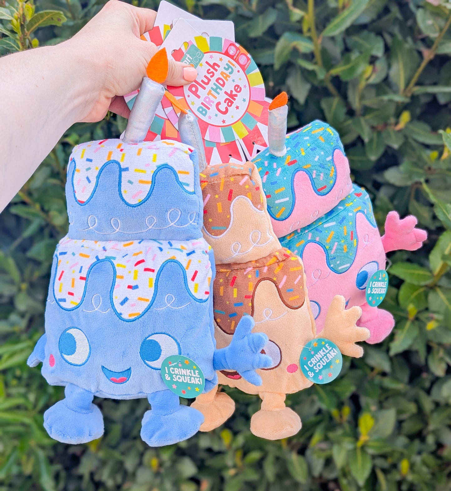 Birthday Cake Squeaky Plush Toy