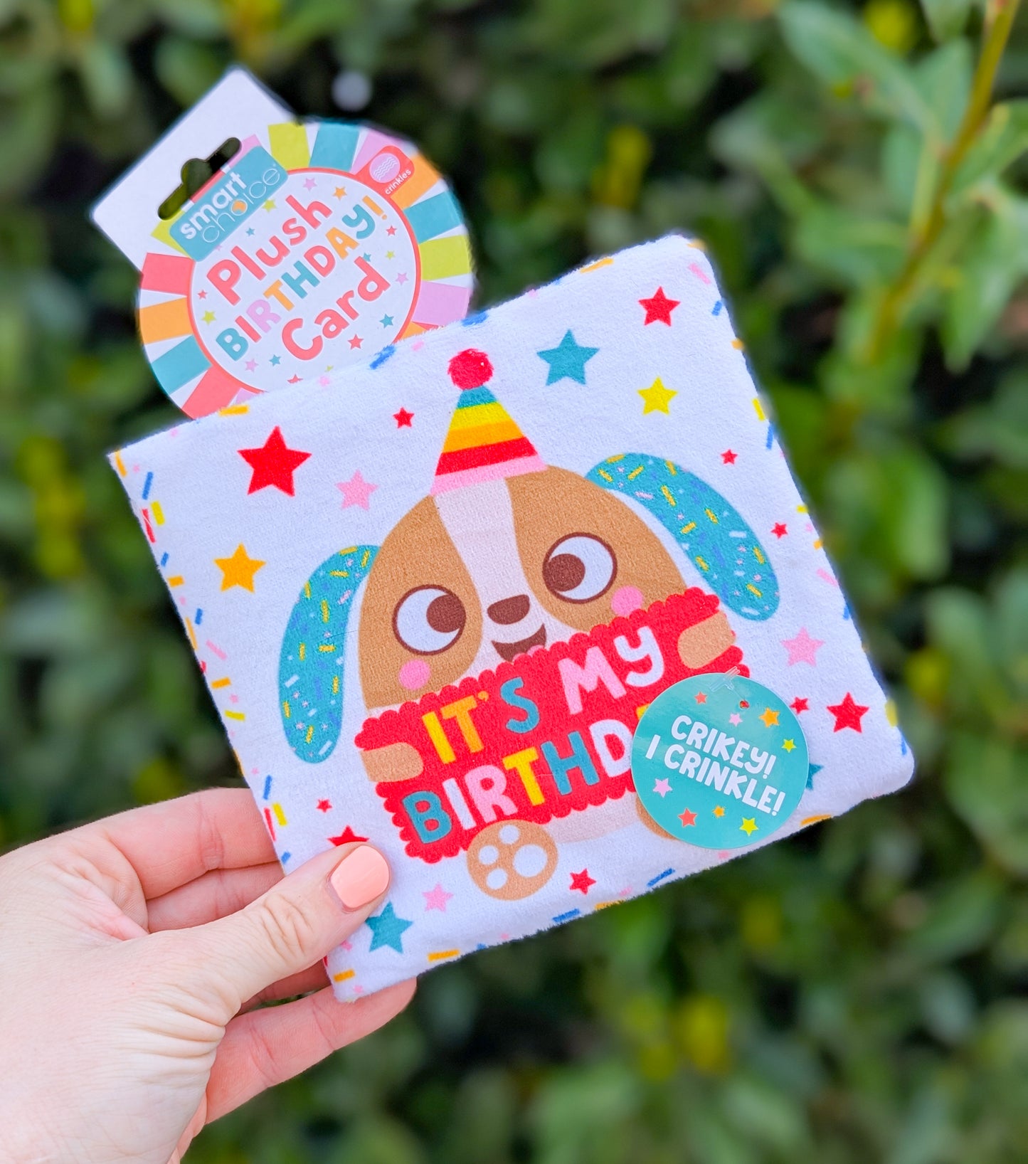 Birthday Card Crinkle Plush Toy