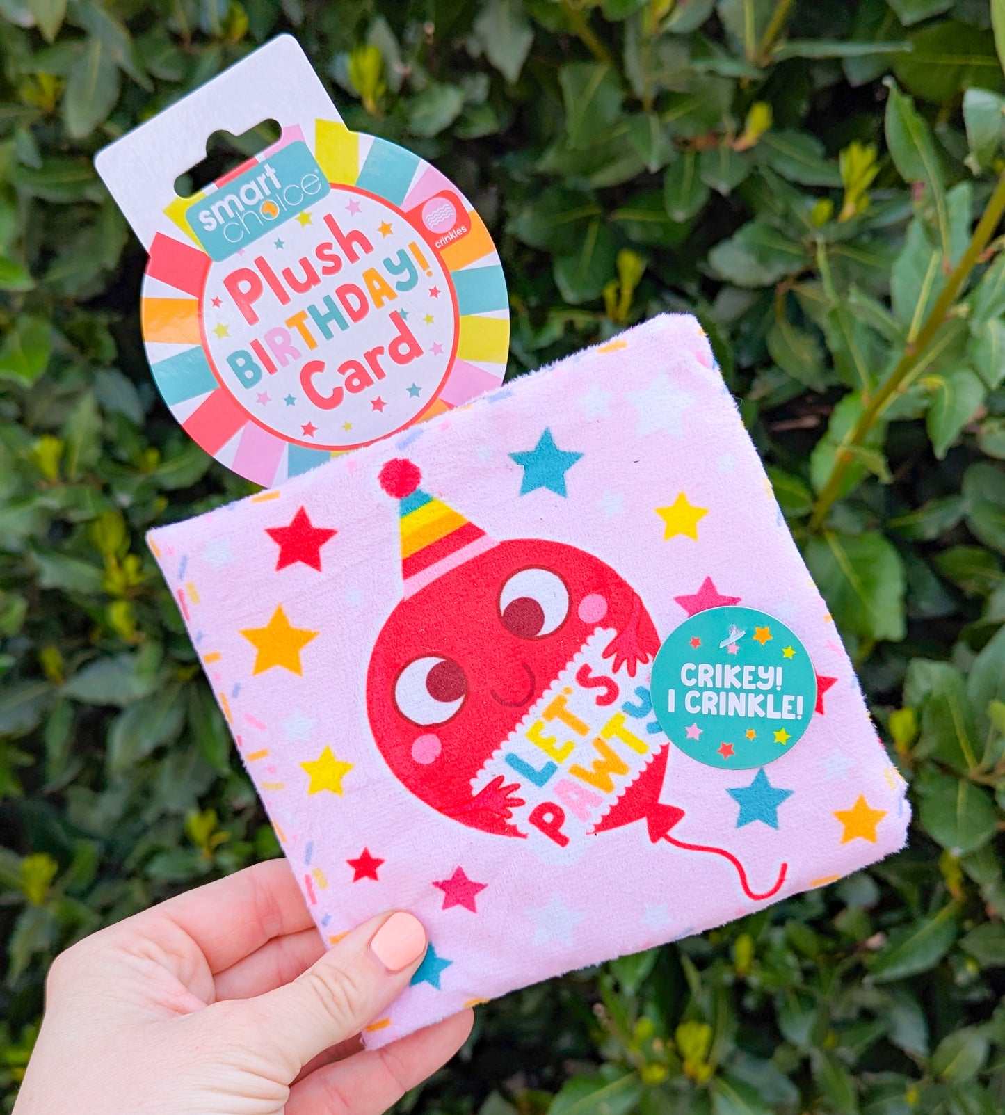 Birthday Card Crinkle Plush Toy