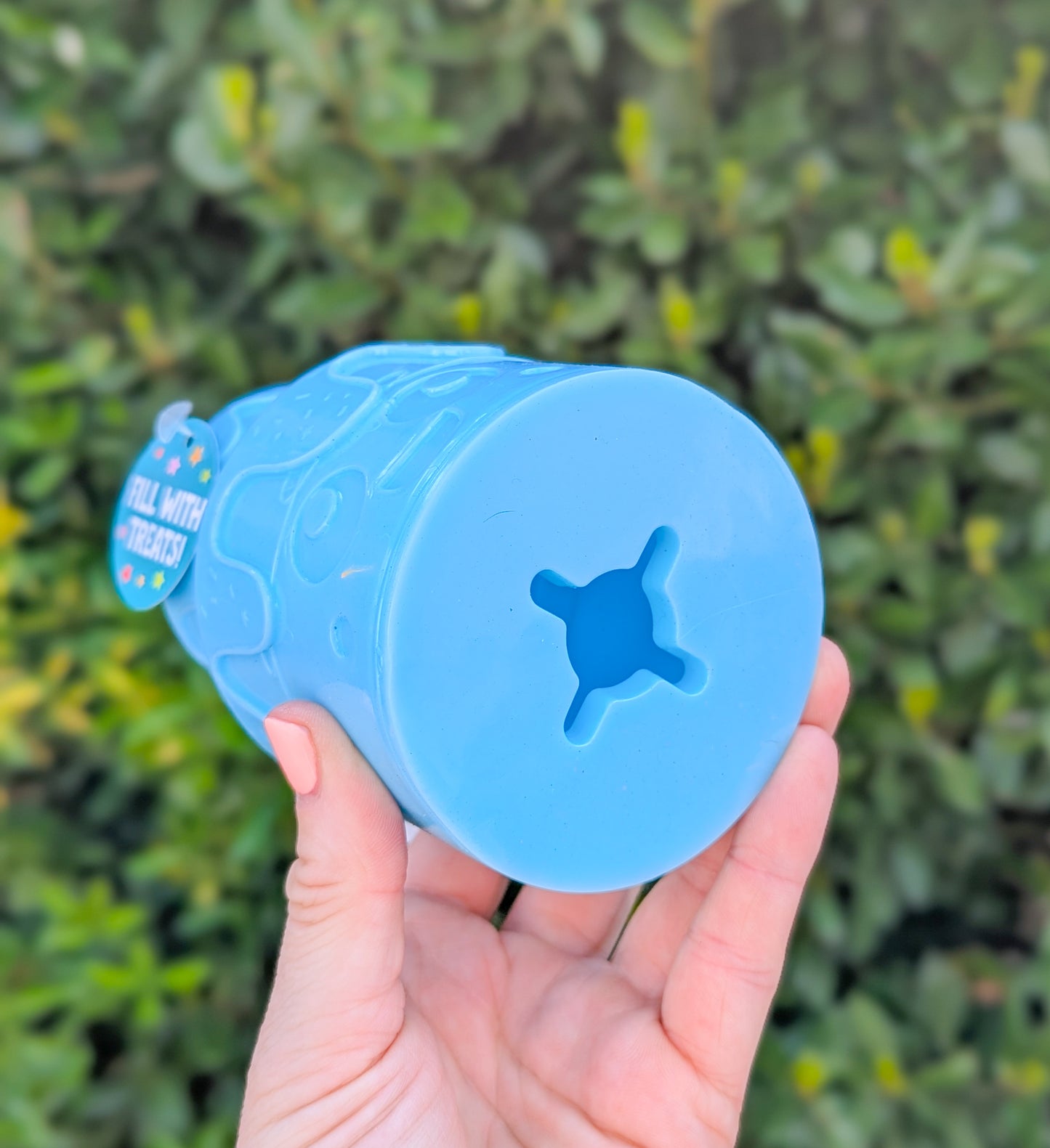 Birthday Cake Treat Dispenser