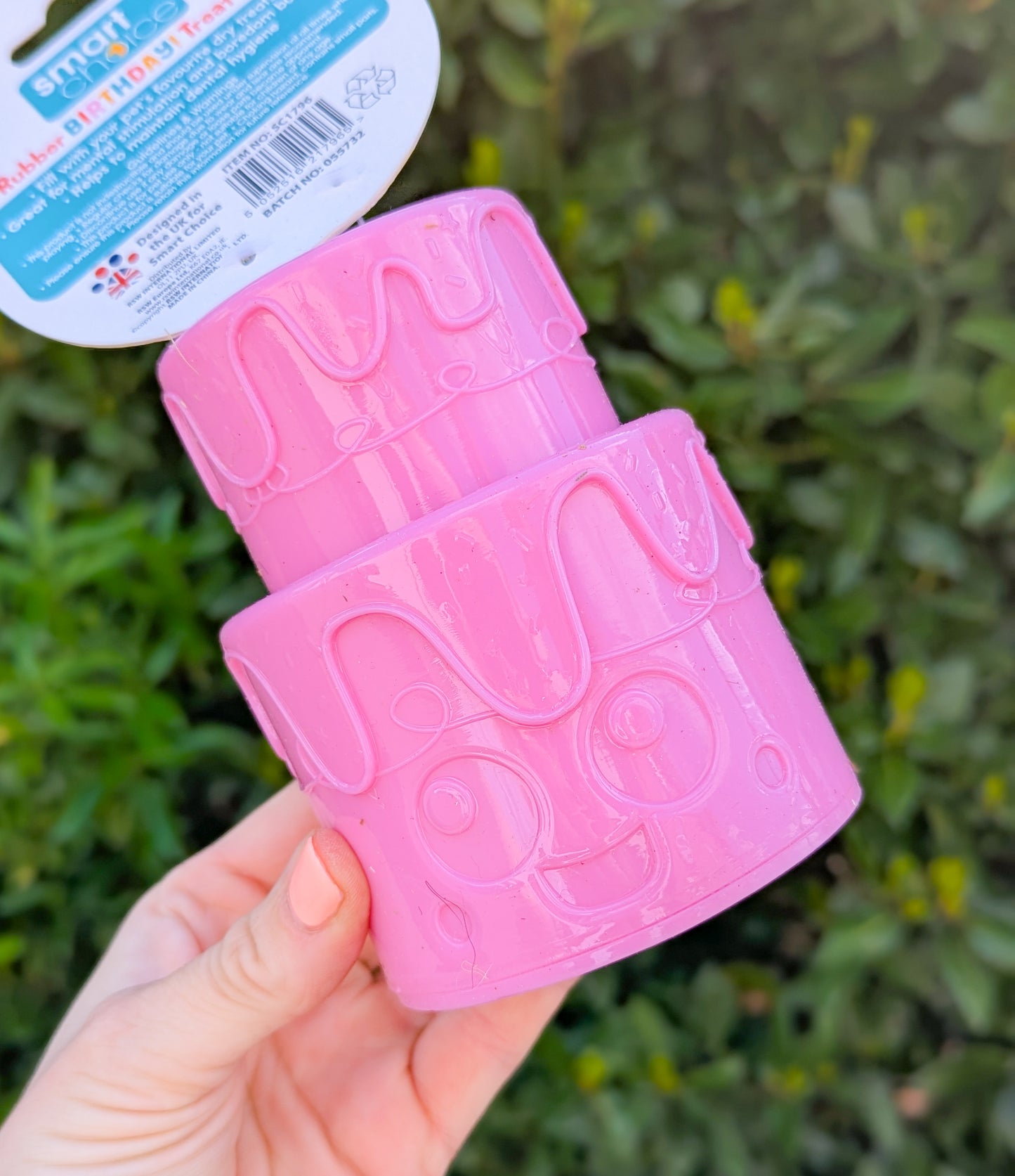 Birthday Cake Treat Dispenser