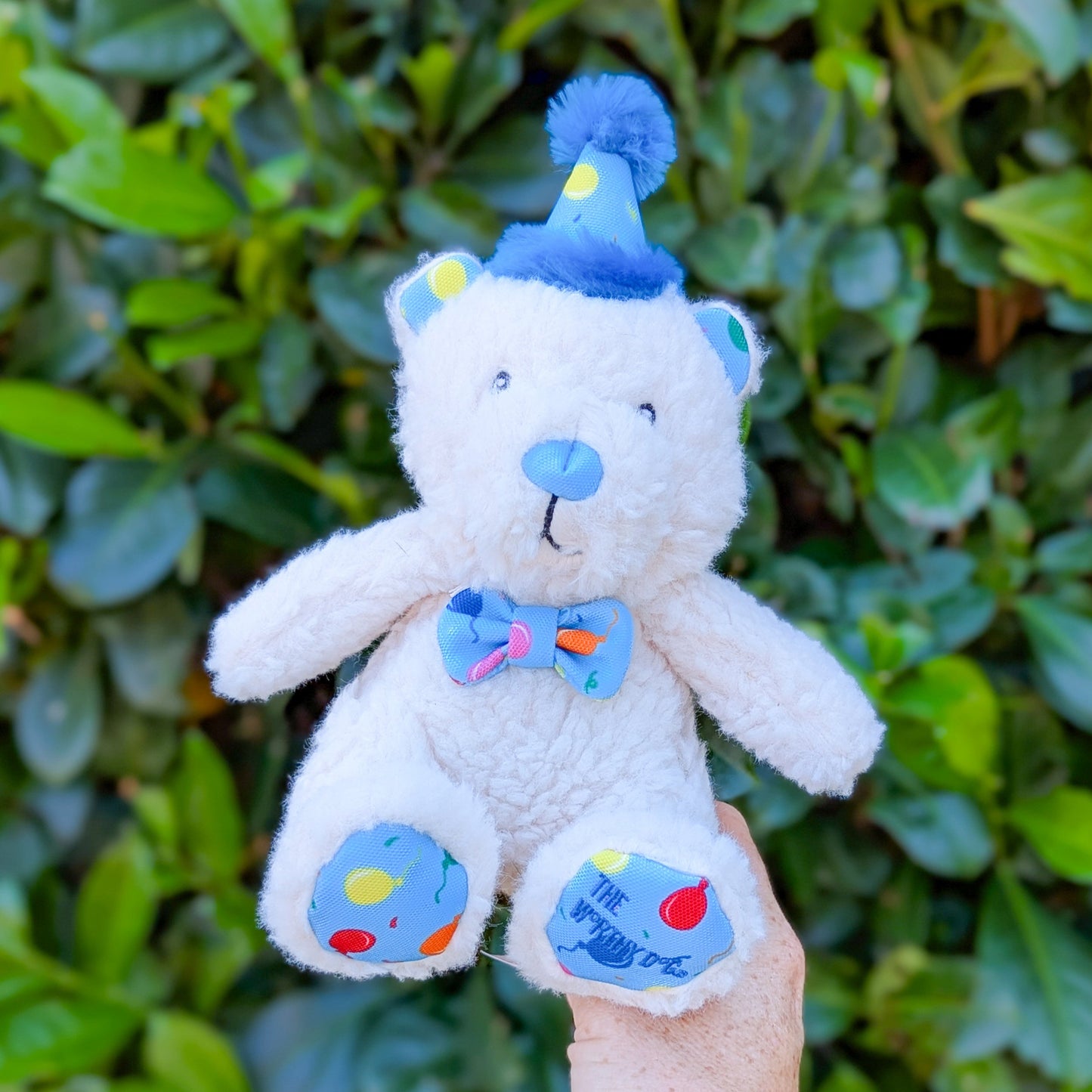 The Worthy Dog Plush Toy | Birthday Bear