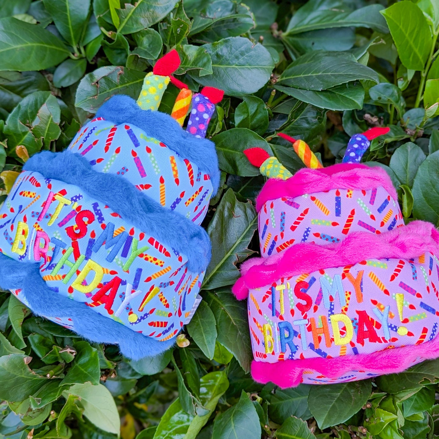 The Worthy Dog Plush Toy | Birthday Cake