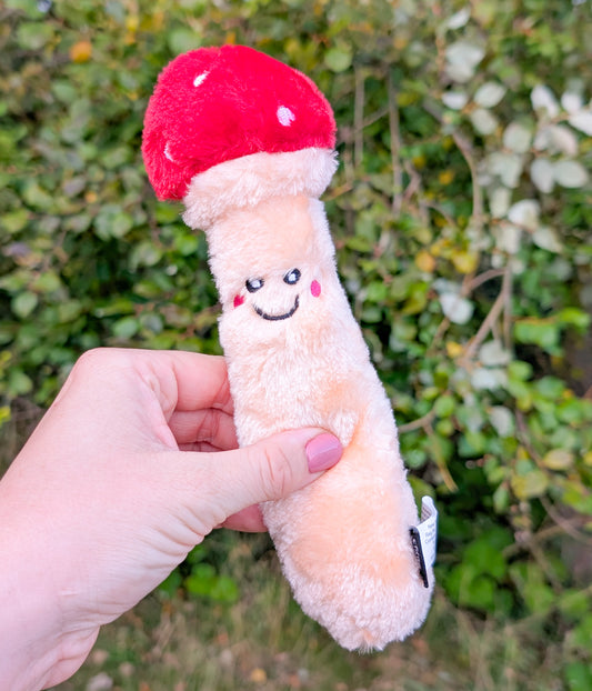 😺 ZippyClaws Kickerz® | Mushroom Cat Toy 🍄