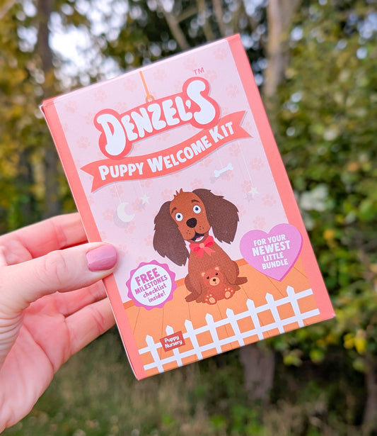 Denzel's Puppy Welcome Kit 🐶