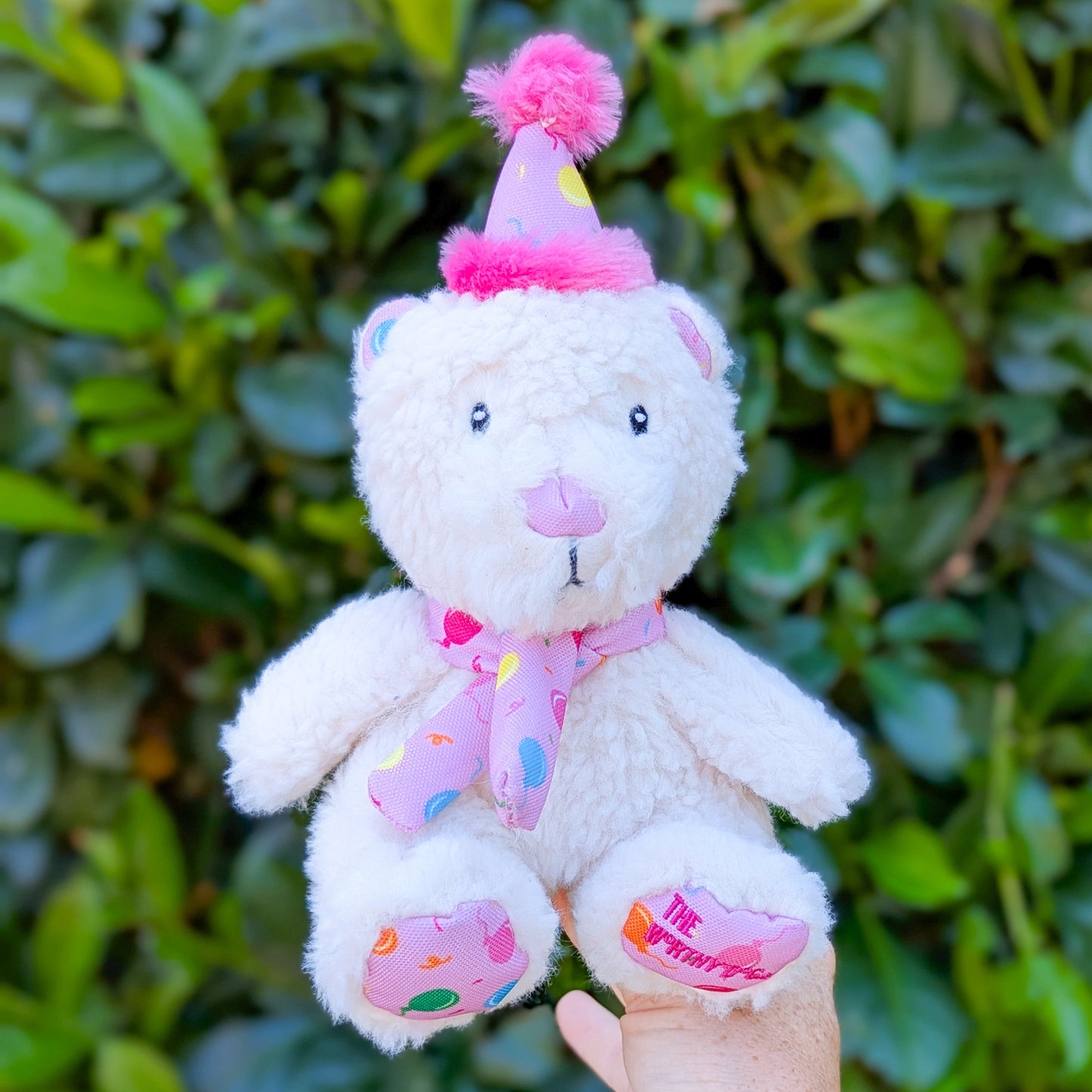 The Worthy Dog Plush Toy | Birthday Bear