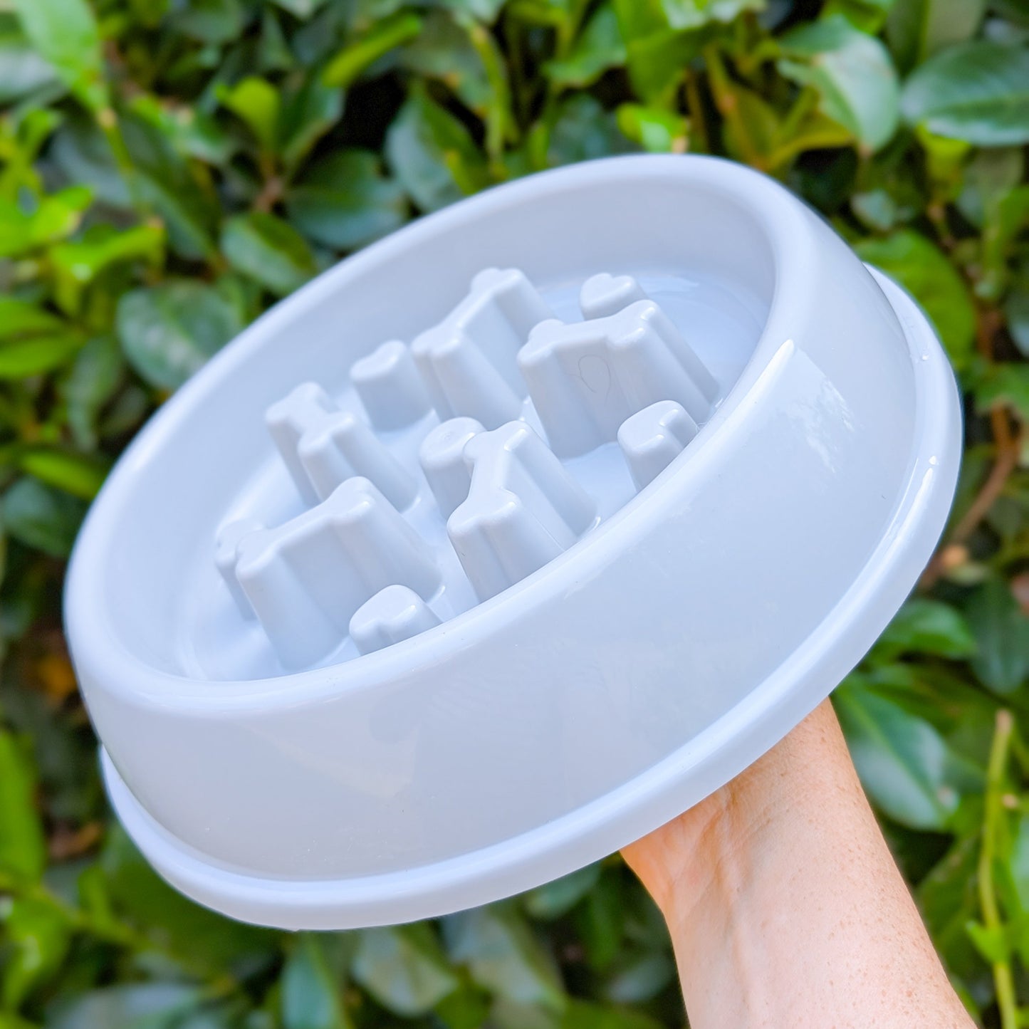 Bone & Heart Design Round Slow Feeder | Three Colours