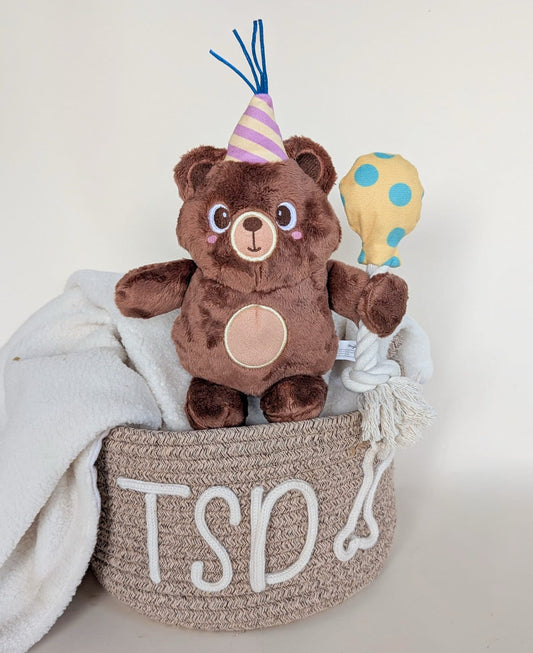Hugsmart Birthday Party Bear Plush & Rope Toy