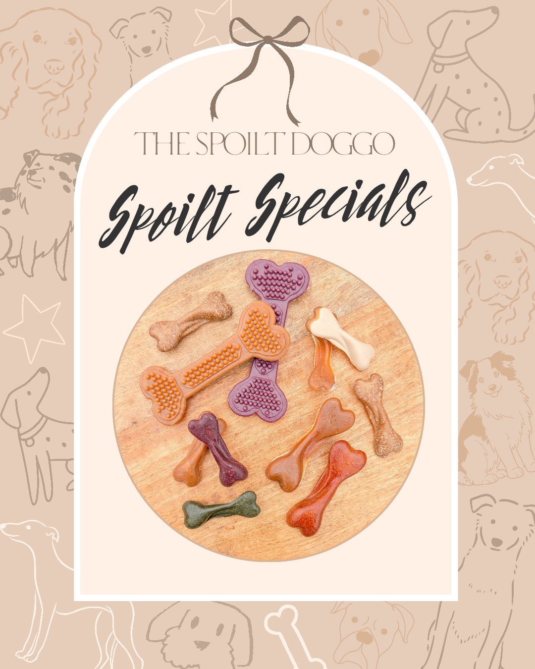 ✨ SPOILT SPECIALS ✨