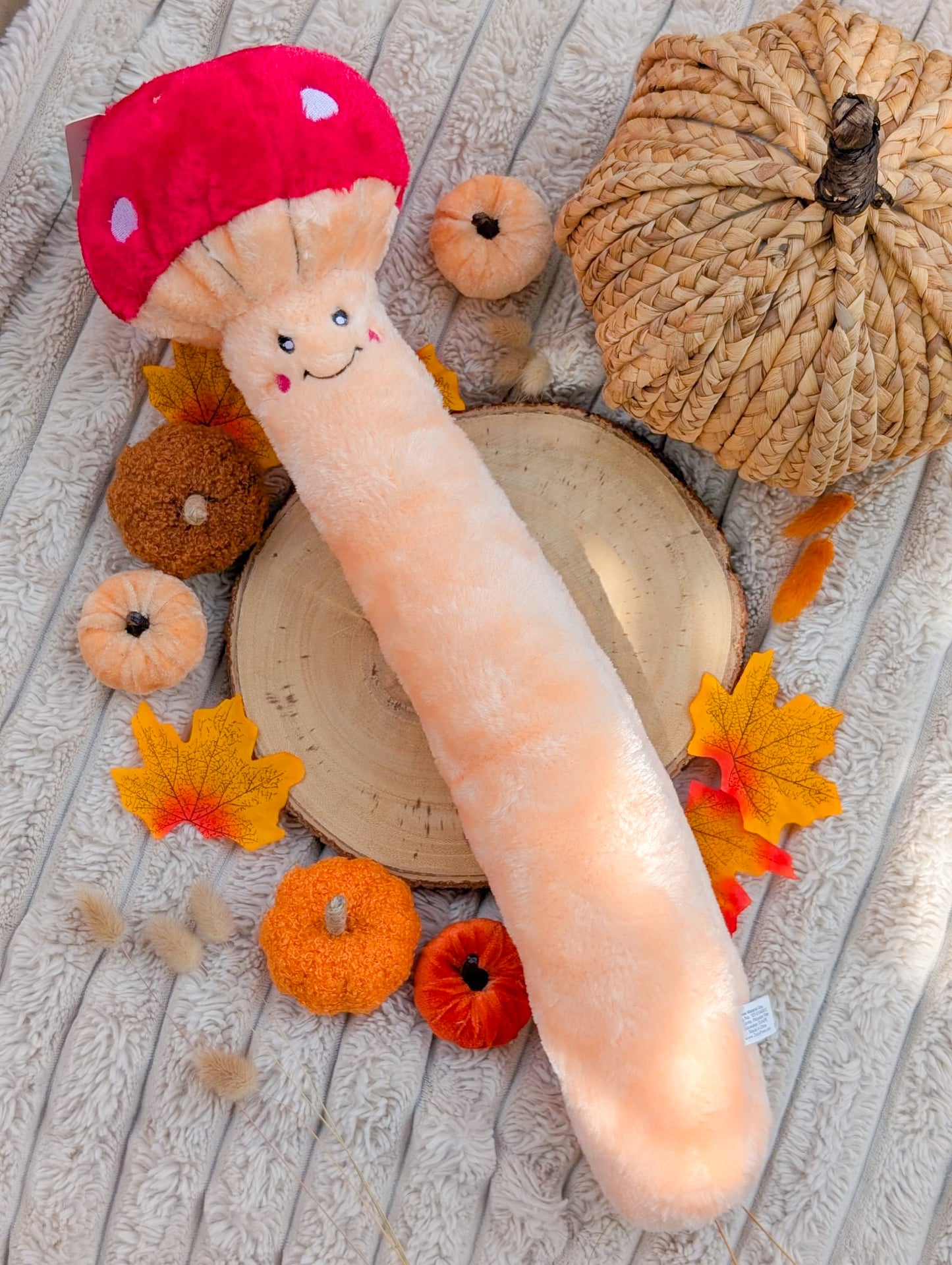 ZippyPaws Jigglerz® | Mushroom Plush Toy 🍄