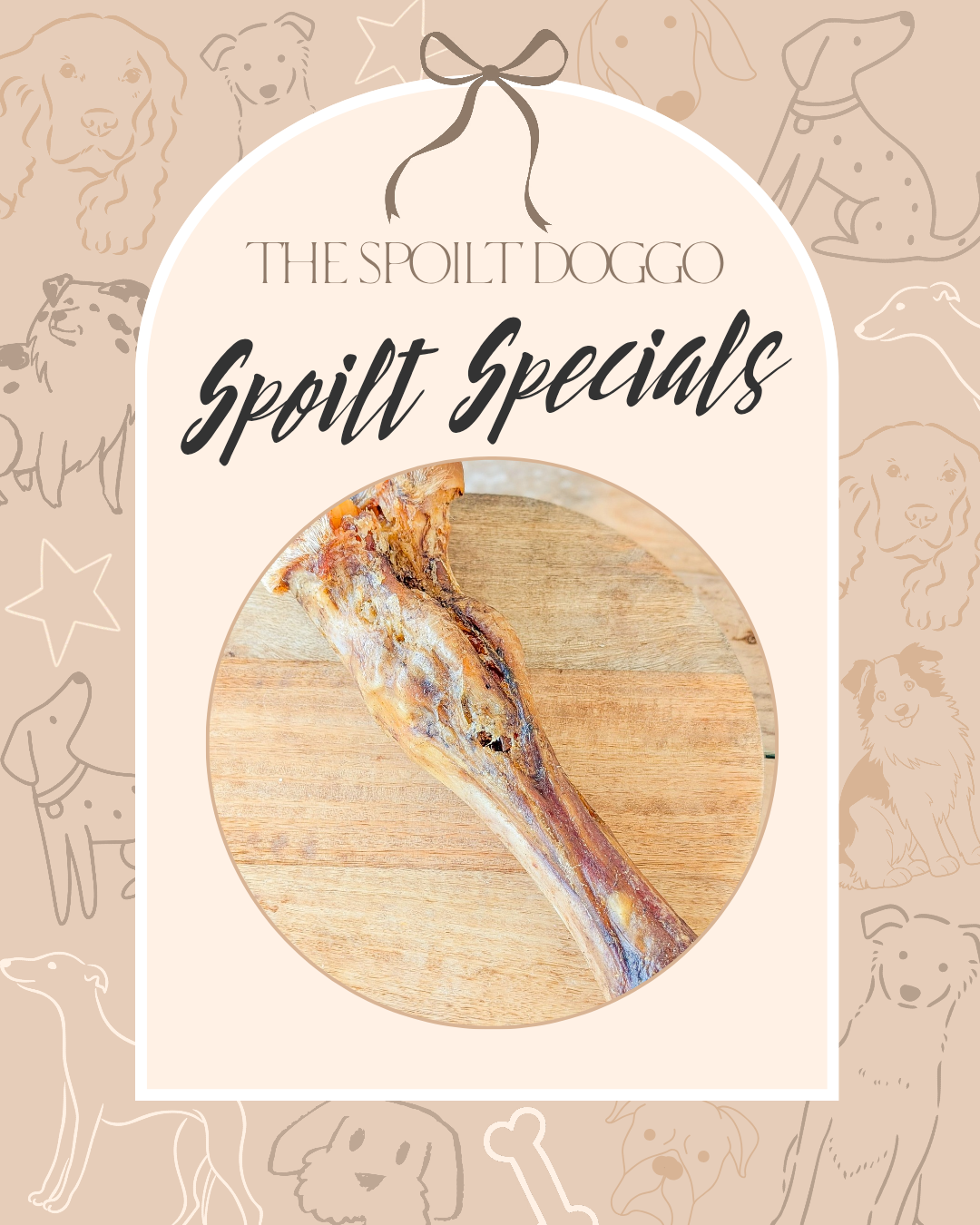 🐾✨ SPOILT SPECIALS ✨🐾