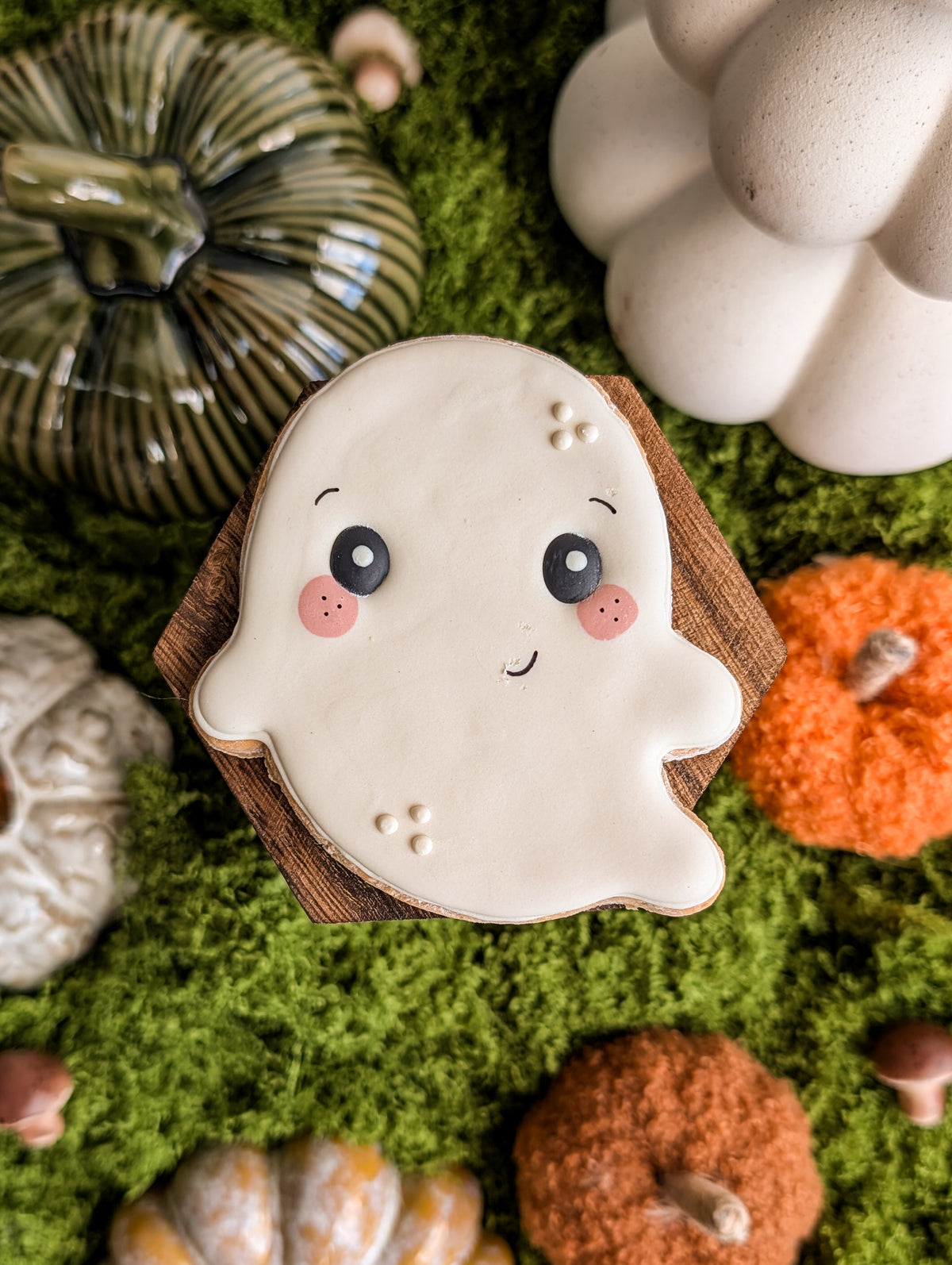 Whiskers & Wishes Bewitching Biscuits
