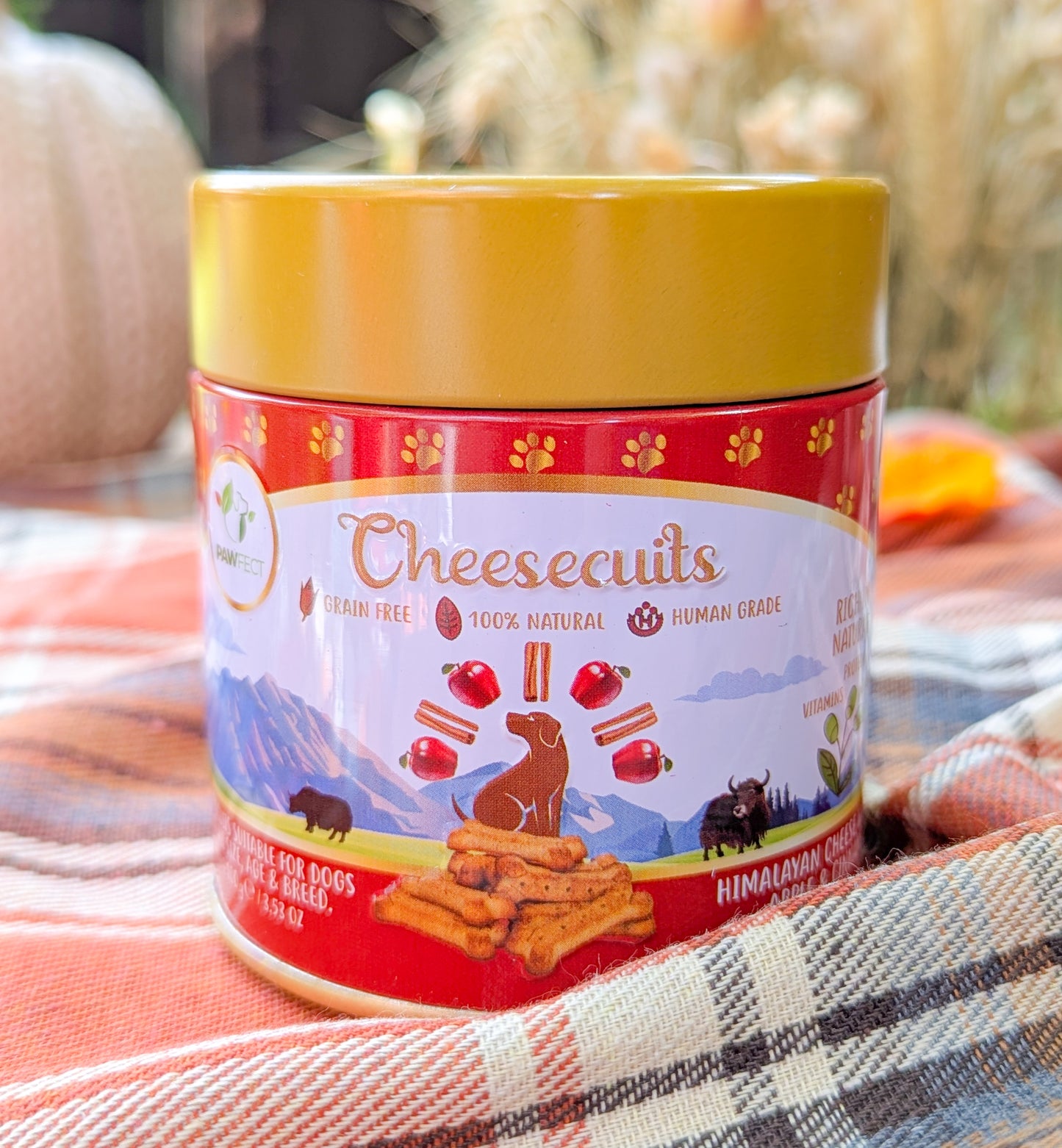 Pawfect Cheesecuits | Cheese Biscuits with Apple, Eggs and Cinnamon