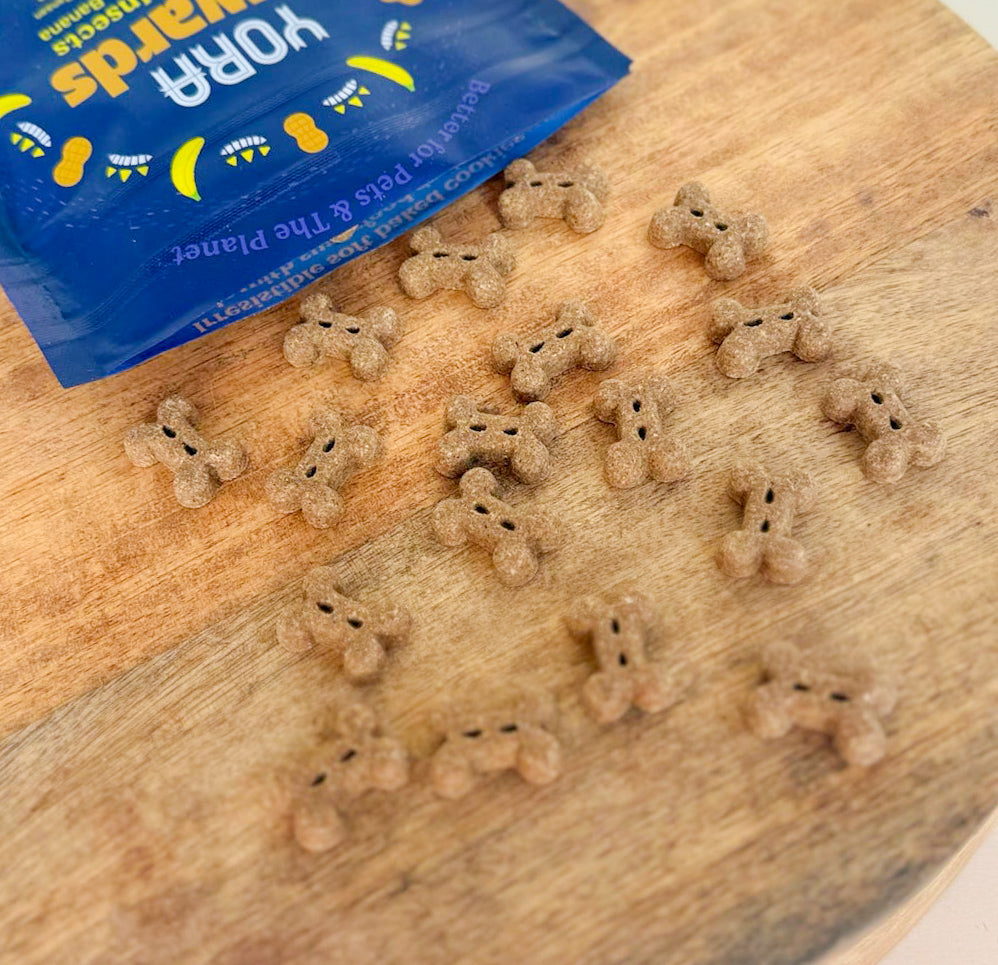 Yora Rewards Superfood Insect Treats
