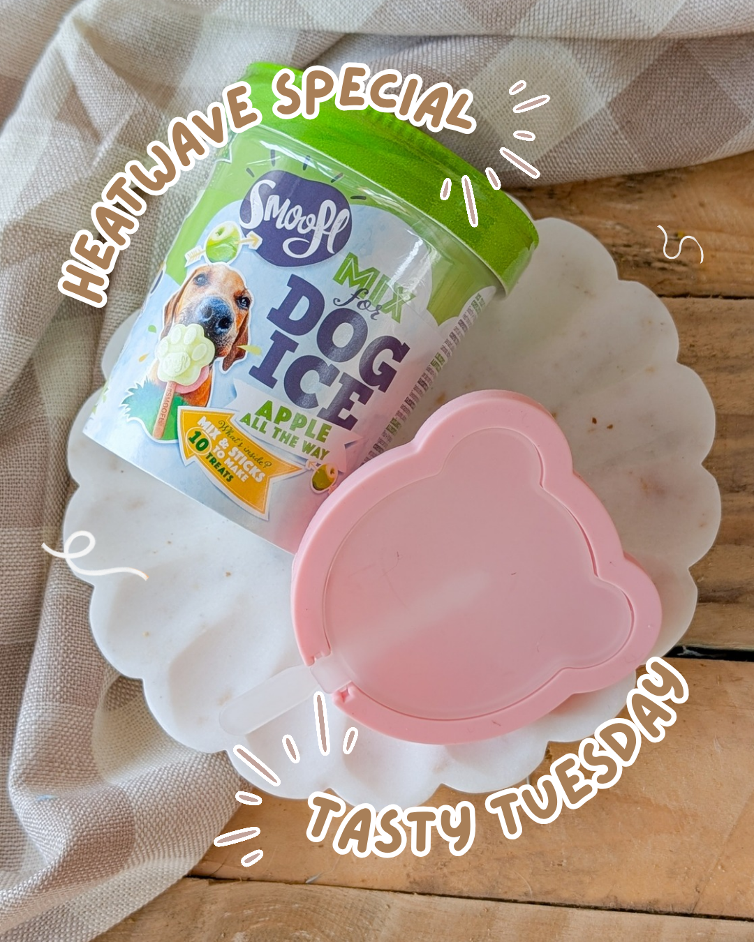 Tasty Tuesday: Heatwave Special | 🍨 Smoofl Ice Cream & Lolly Mould | RRP £10.50