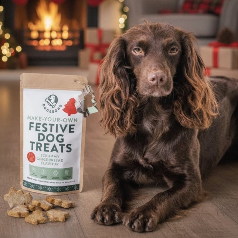 Dog & Bond | Make Your Own Festive Dog Treats | Scrummy Gingerbread Flavour