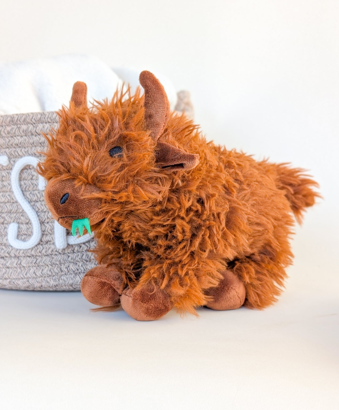 The Highland Coo Crew