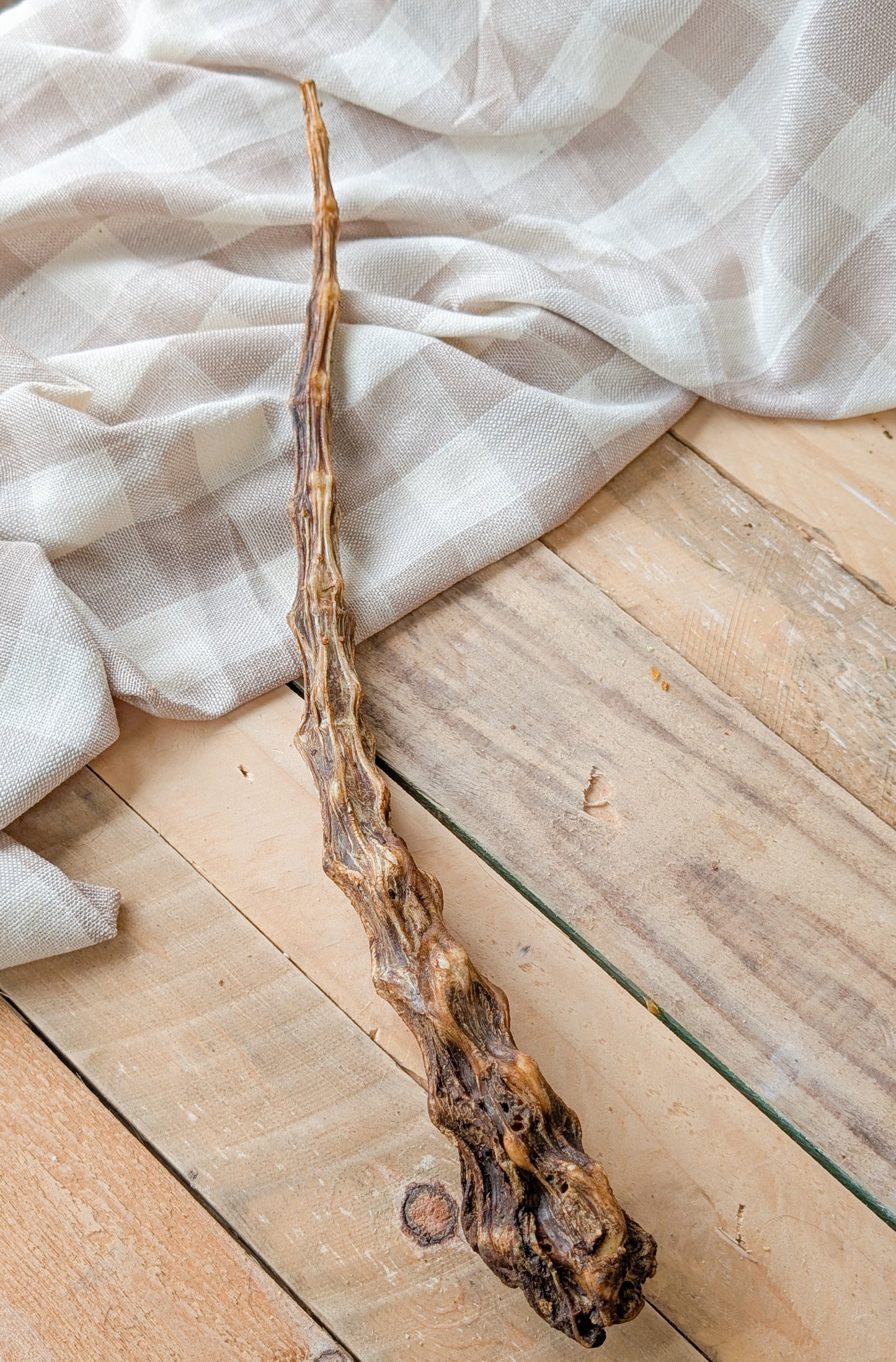 "Elder Wand" Ribbed Buffalo Tail