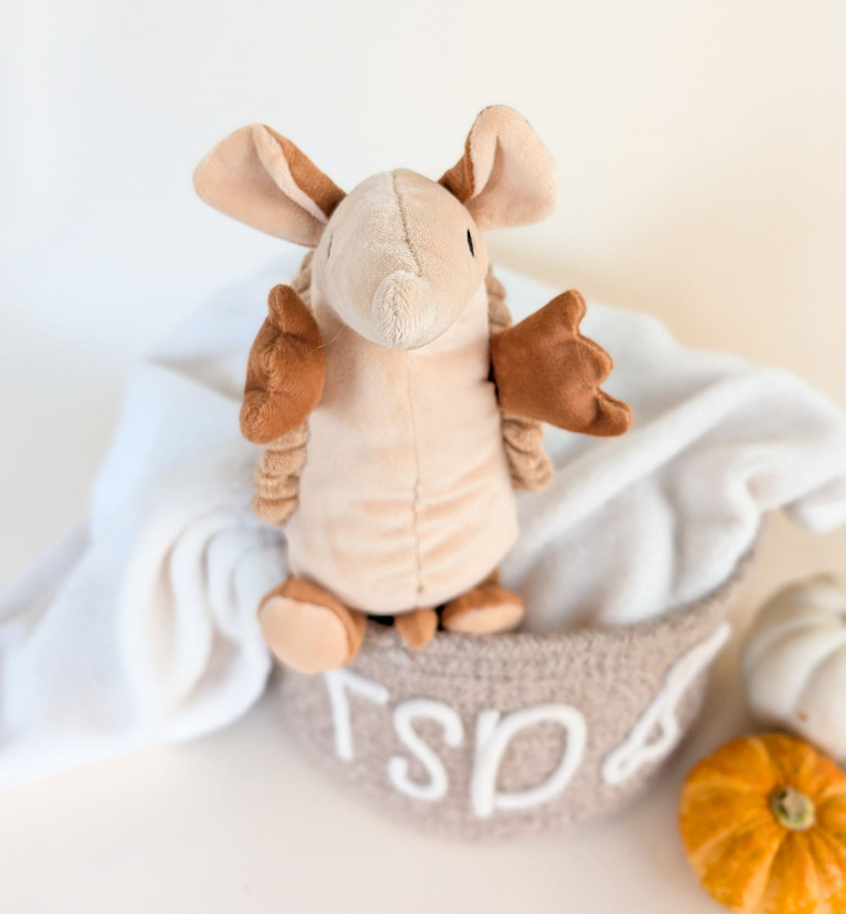 "Arlo the Armadillo" Plush Toy
