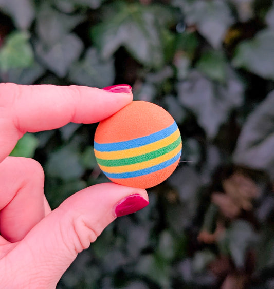 🐈‍⬛ Great&Small Rainbow Ball Cat Toy 🌈