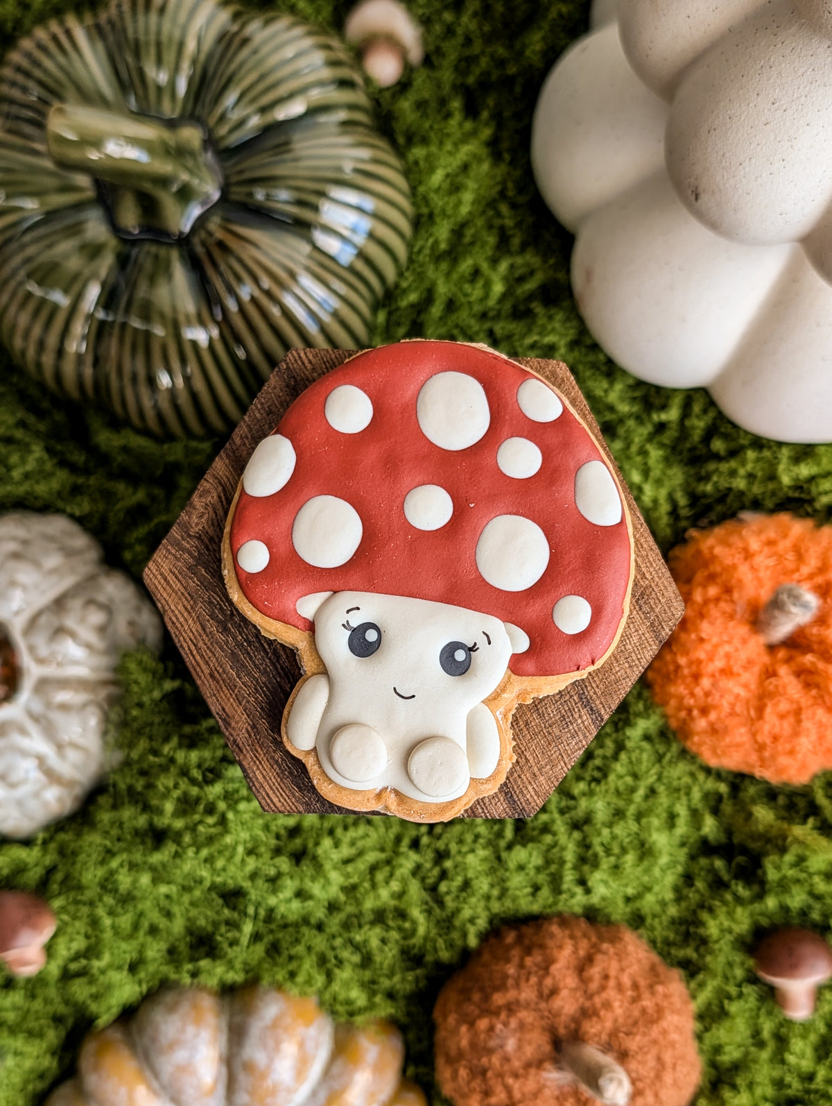 Whiskers & Wishes Bewitching Biscuits