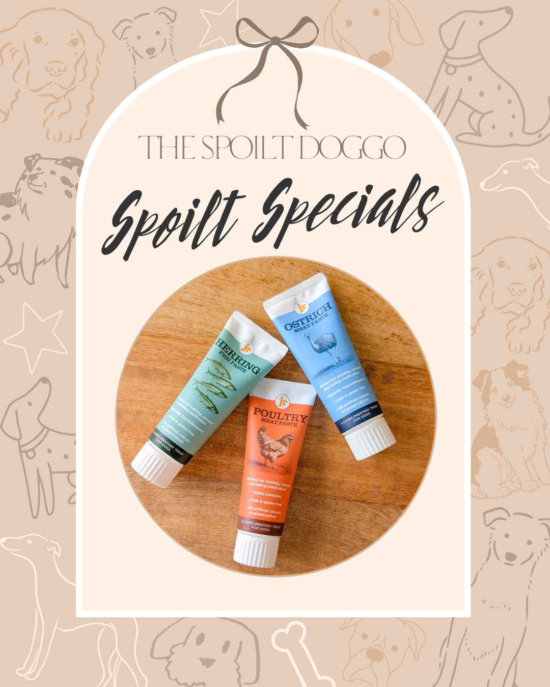 🐾✨ SPOILT SPECIALS ✨🐾