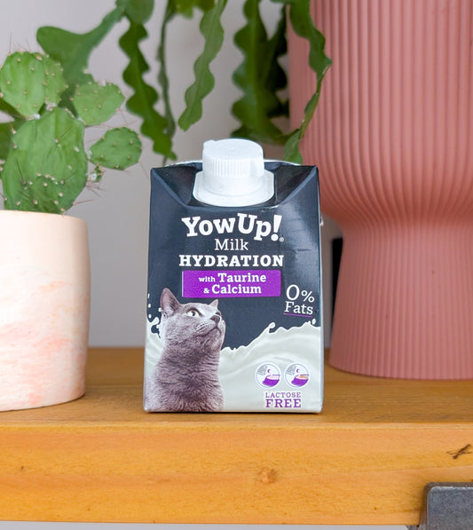 🐈 YowUp! Hydration Milk for Cats 200ml