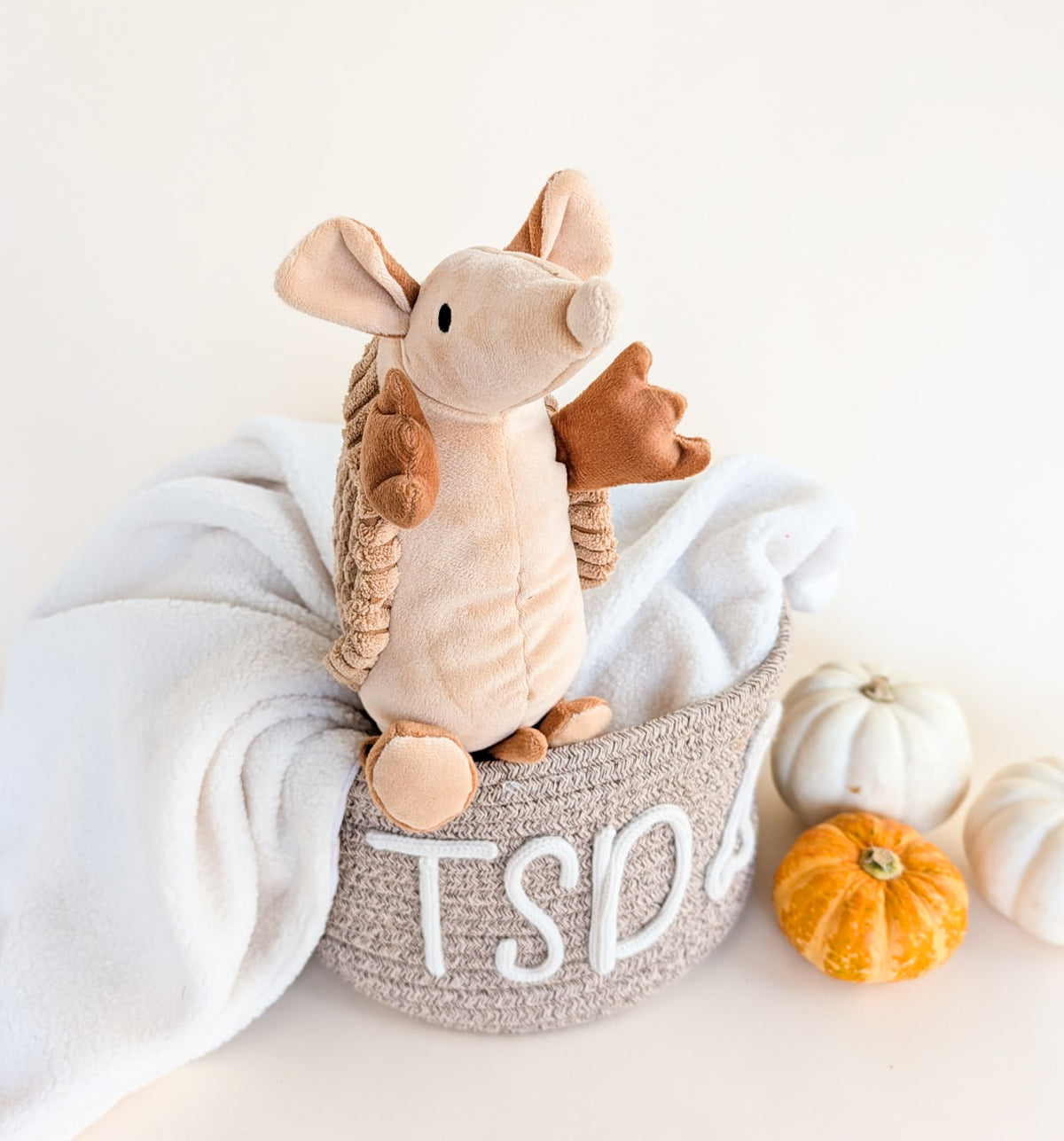 "Arlo the Armadillo" Plush Toy