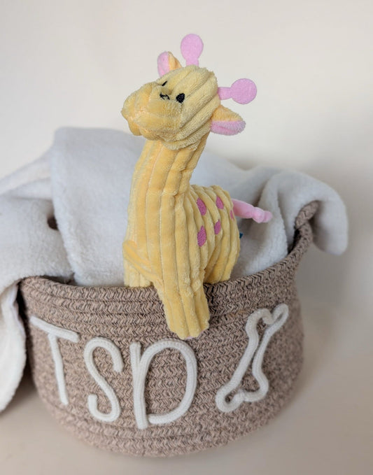 Little Petface Baby Jessie Giraffe