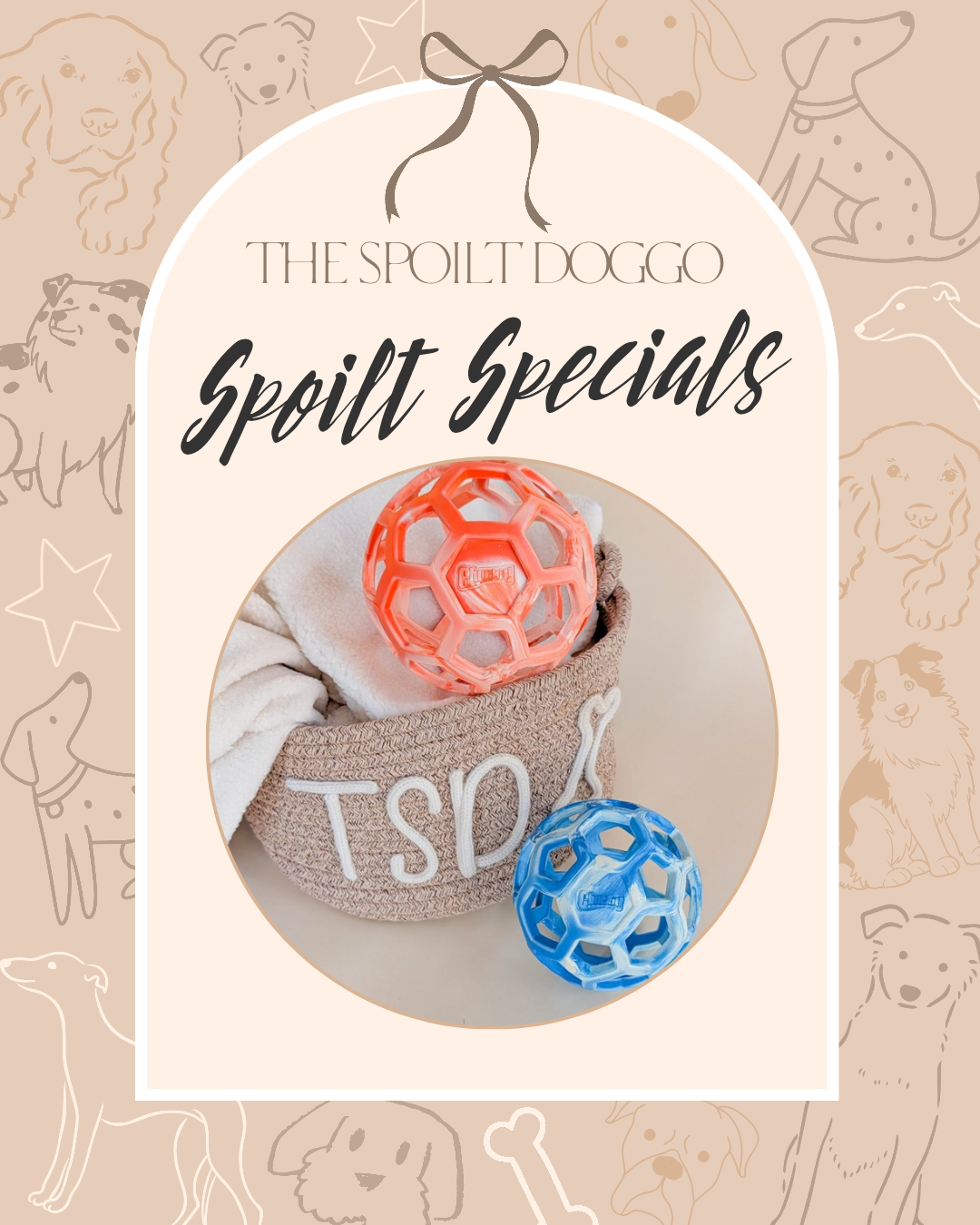 ✨ SPOILT SPECIALS ✨