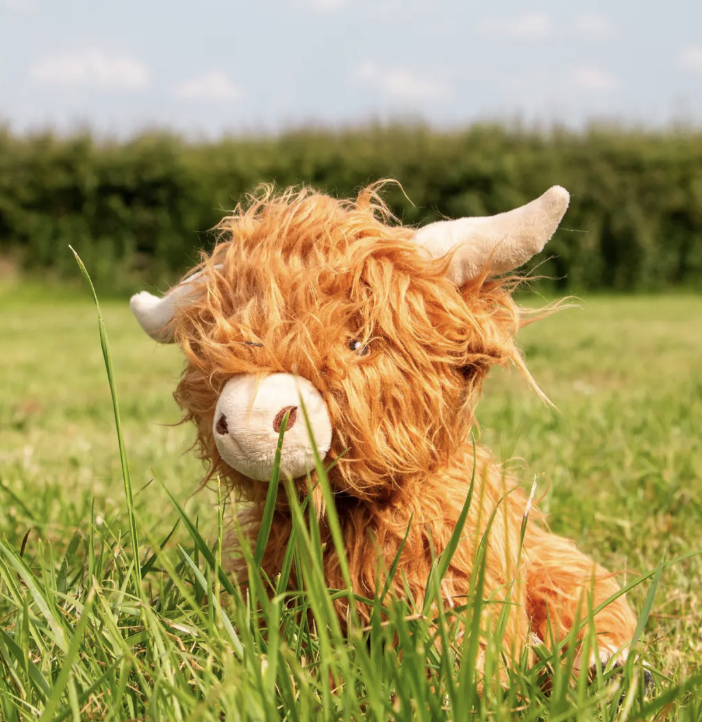Ancol Heritage Collection | Fergus Highland Cow