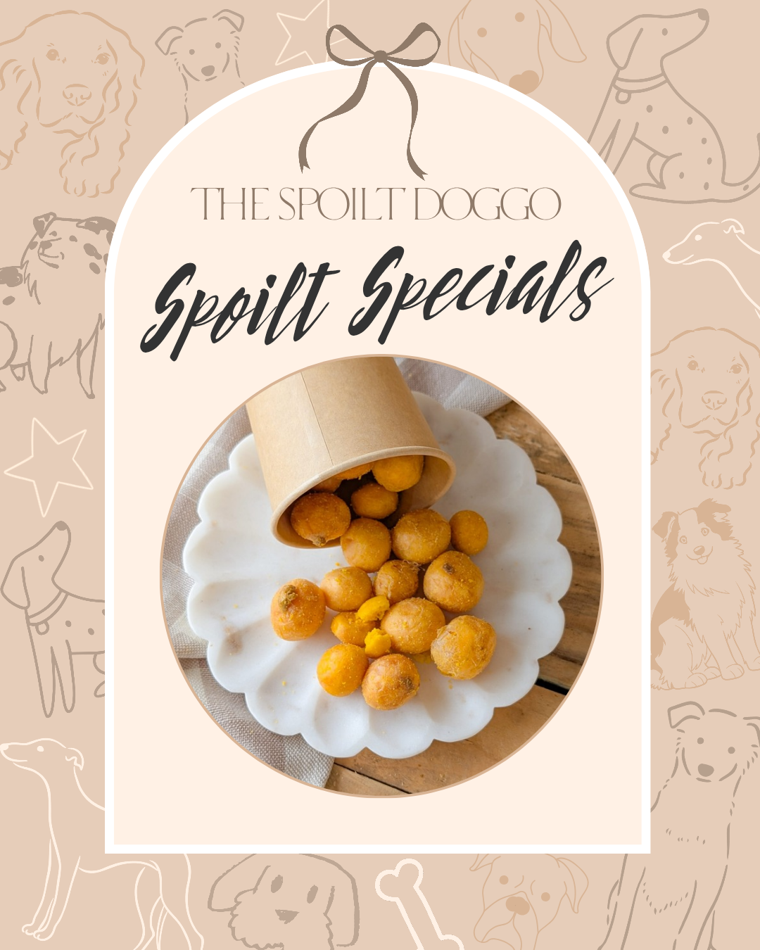 ✨ SPOILT SPECIALS ✨