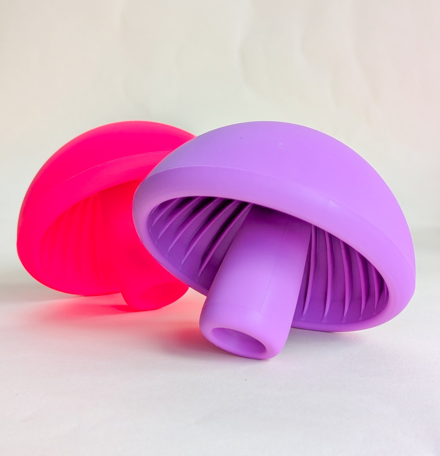 Mushroom Enrichment Toy