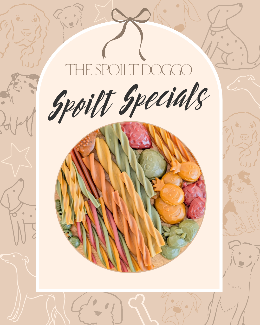 ✨ SPOILT SPECIALS ✨