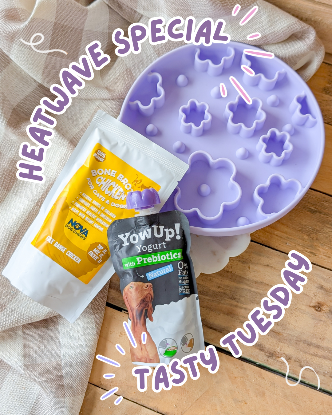 Tasty Tuesday: Heatwave Special ☀️ | Enrichment Starter Kit | RRP £24.50
