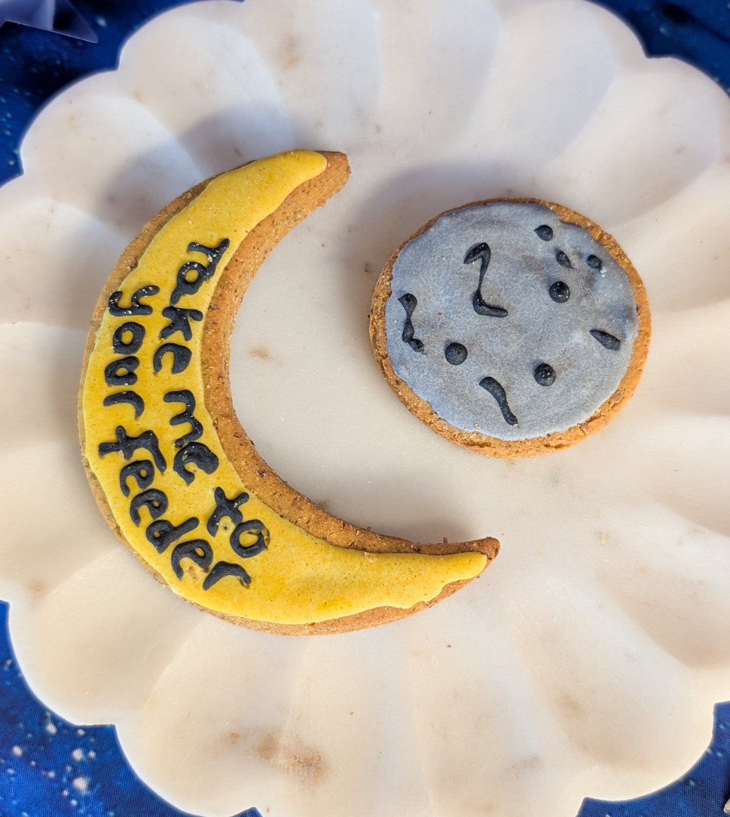 Space Day Celebration Iced Biscuits