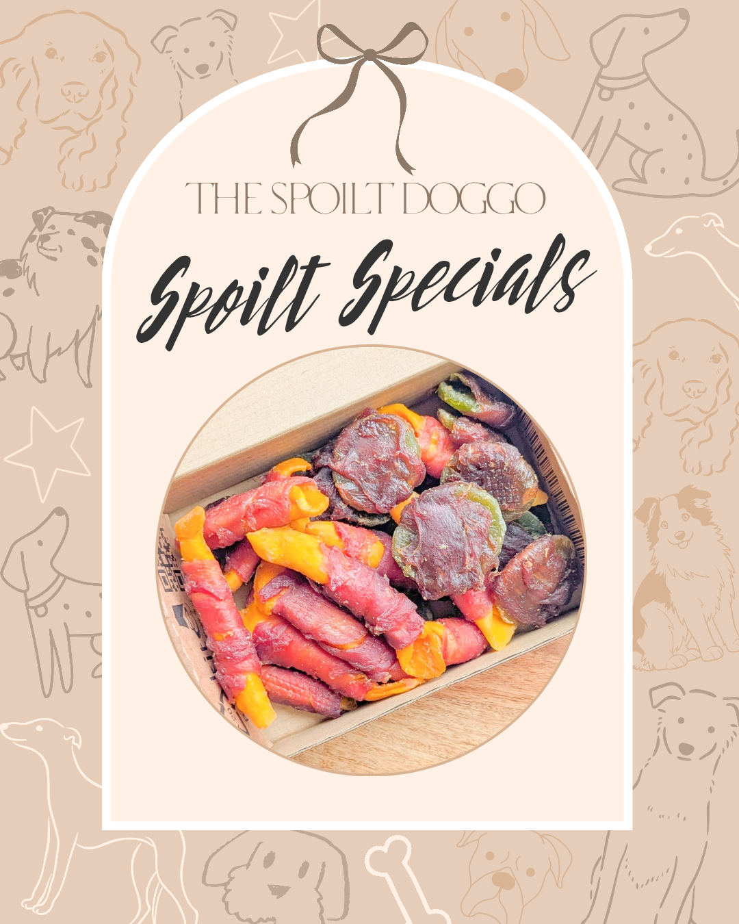 🐾✨ SPOILT SPECIALS ✨🐾